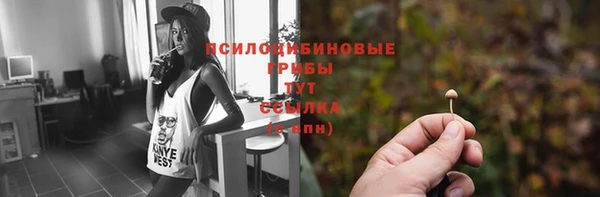 jwh Аркадак