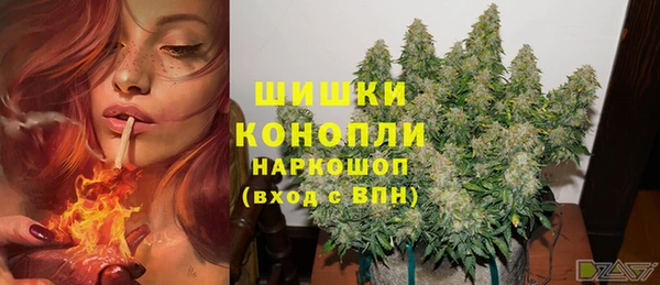 дживик Арсеньев